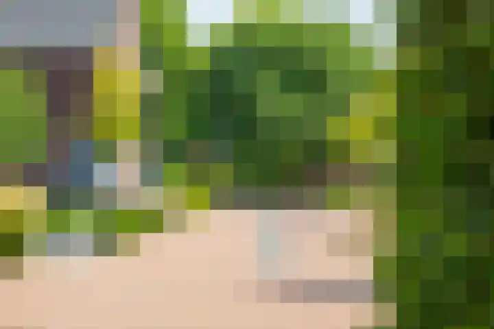 Op den Bond 4 Zieuwent thumbnail 49