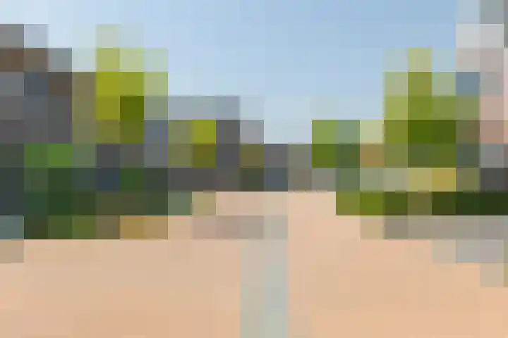 Op den Bond 4 Zieuwent thumbnail 50