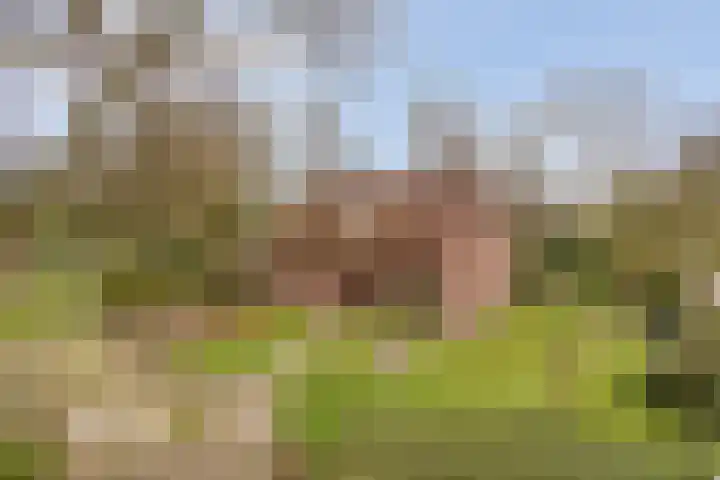 Op den Bosch 3 a in Maashees