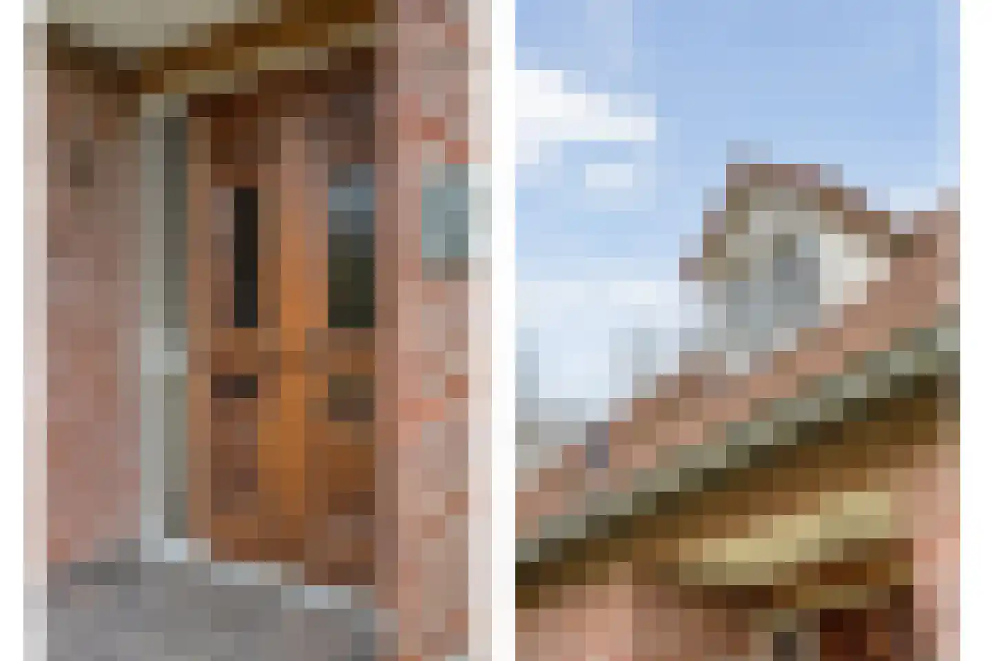 Op den Bosch 3 a Maashees thumbnail 12