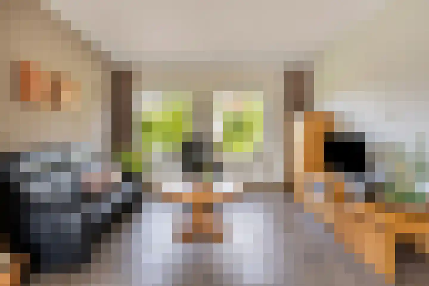 Op den Bosch 3 a Maashees thumbnail 17