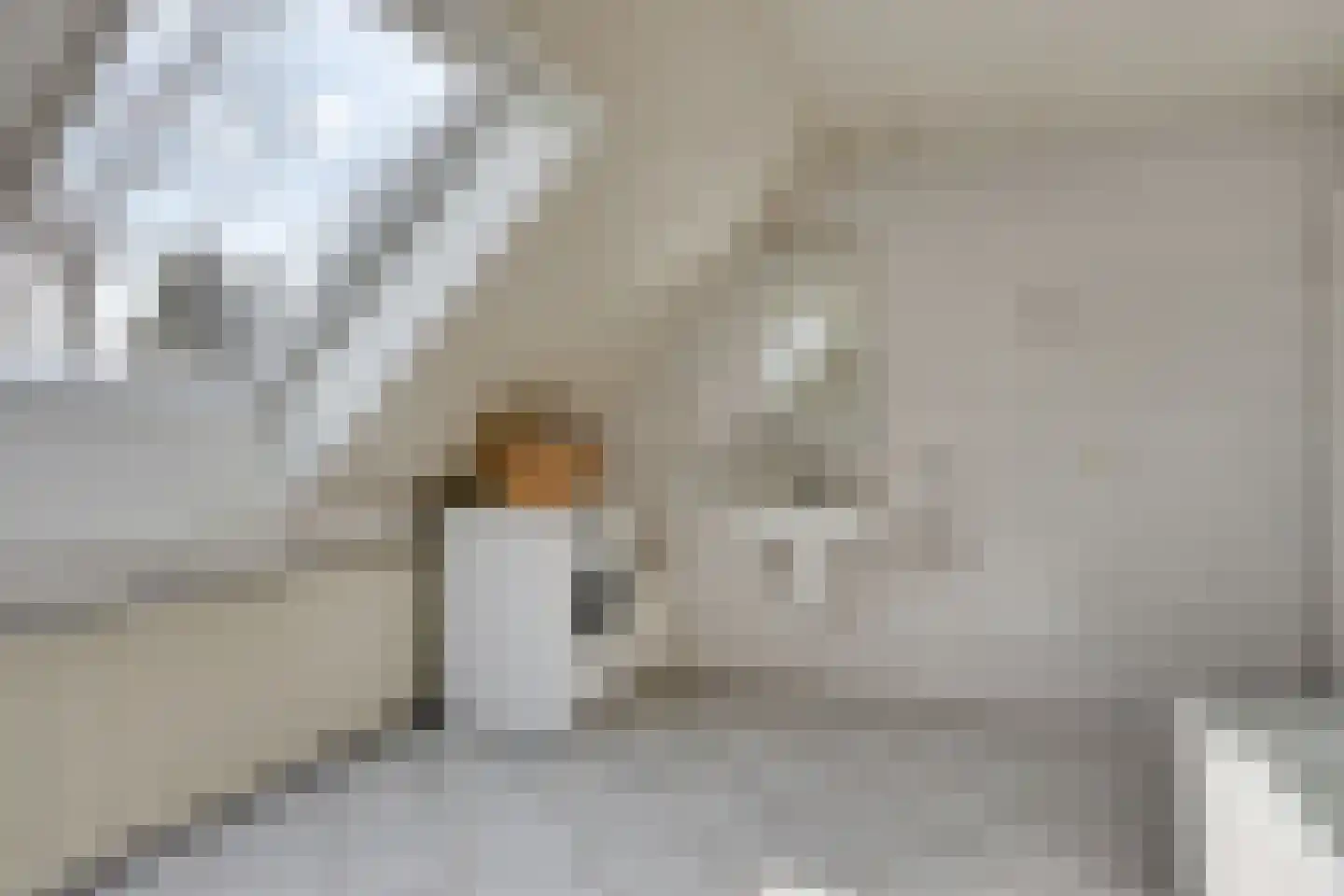 Op den Bosch 3 a Maashees thumbnail 34