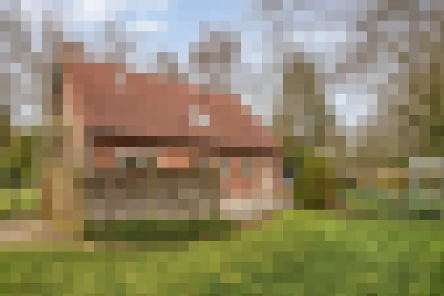 Op den Bosch 3 a Maashees thumbnail 40