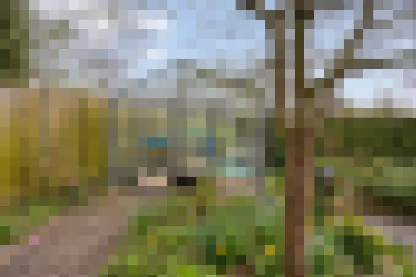 Op den Bosch 3 a Maashees thumbnail 46