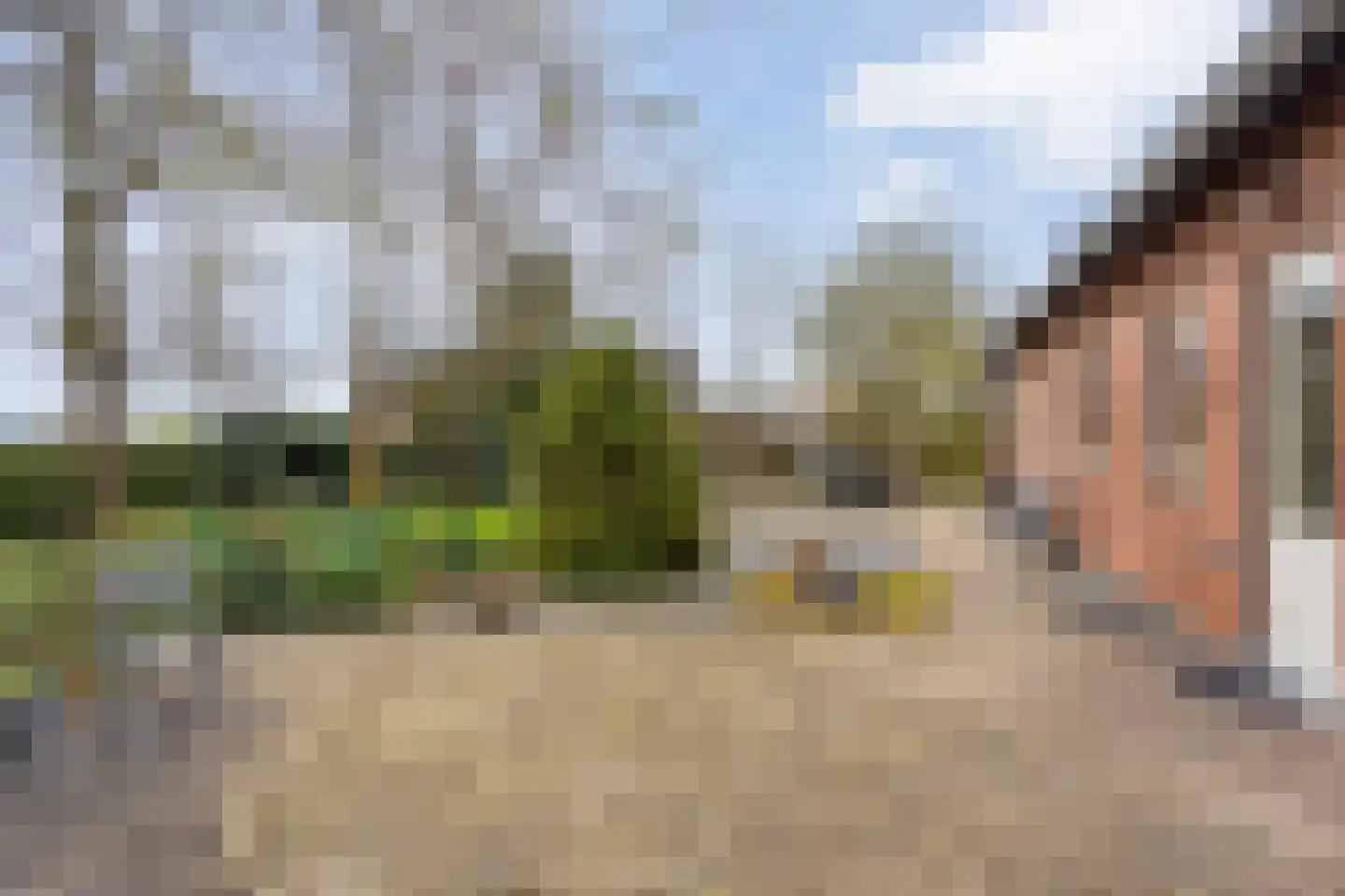 Op den Bosch 3 a Maashees thumbnail 48