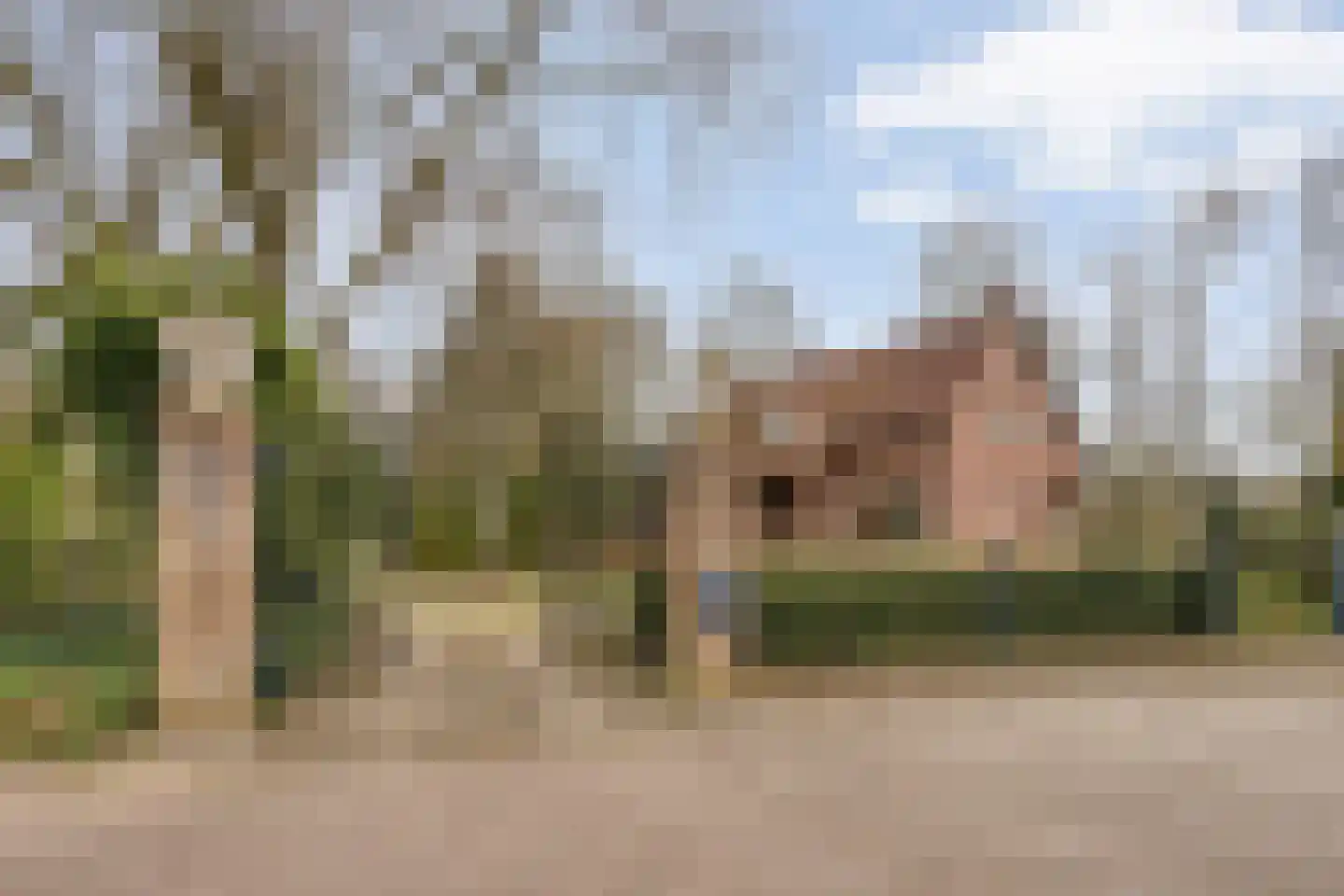Op den Bosch 3 a Maashees thumbnail 5