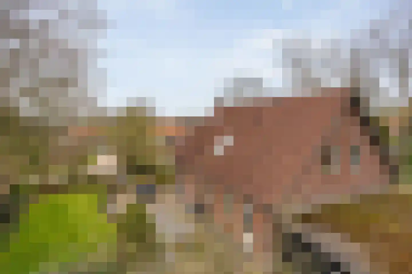 Op den Bosch 3 a Maashees thumbnail 53