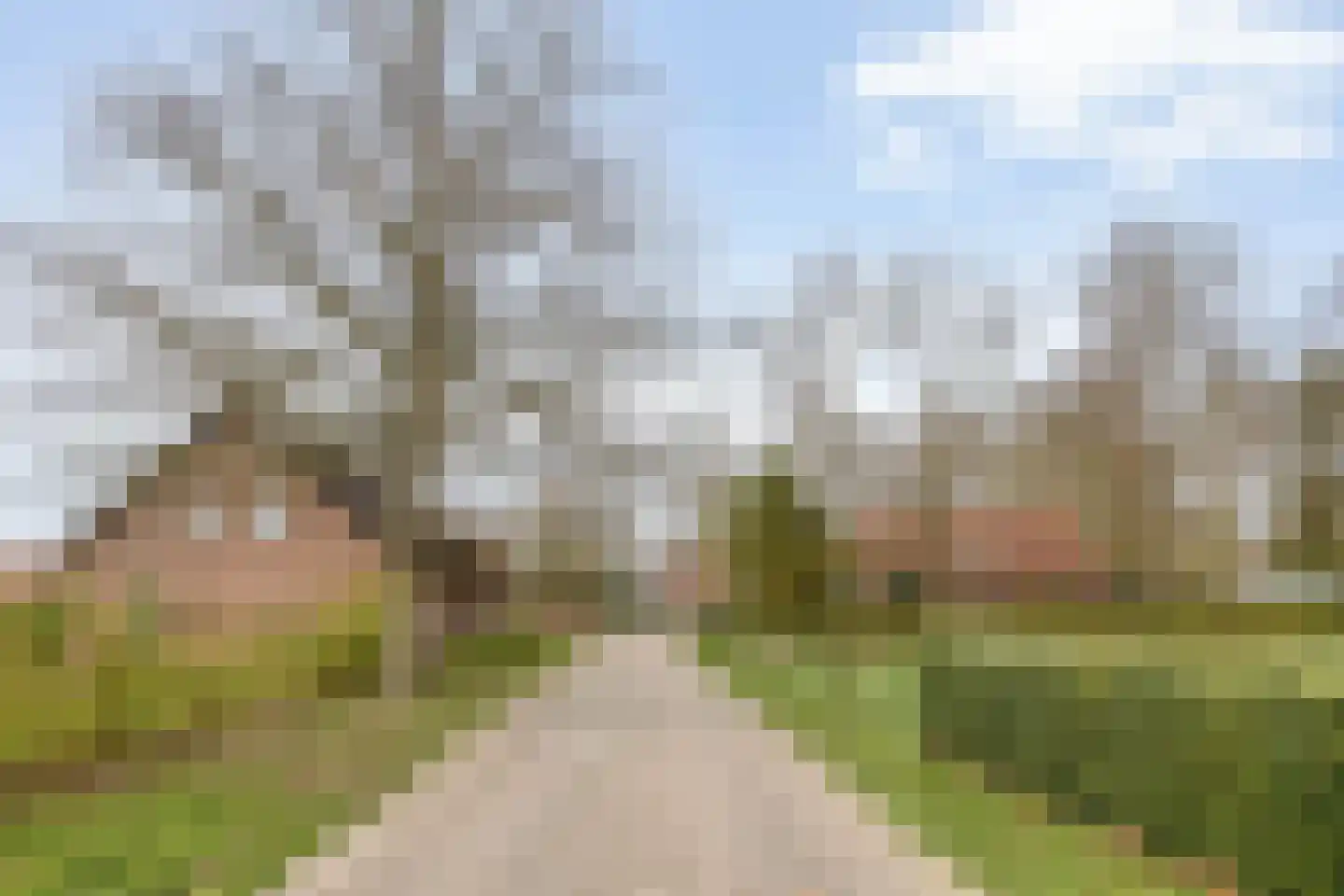 Op den Bosch 3 a Maashees thumbnail 54