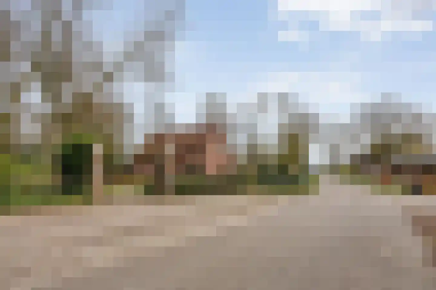 Op den Bosch 3 a Maashees thumbnail 6