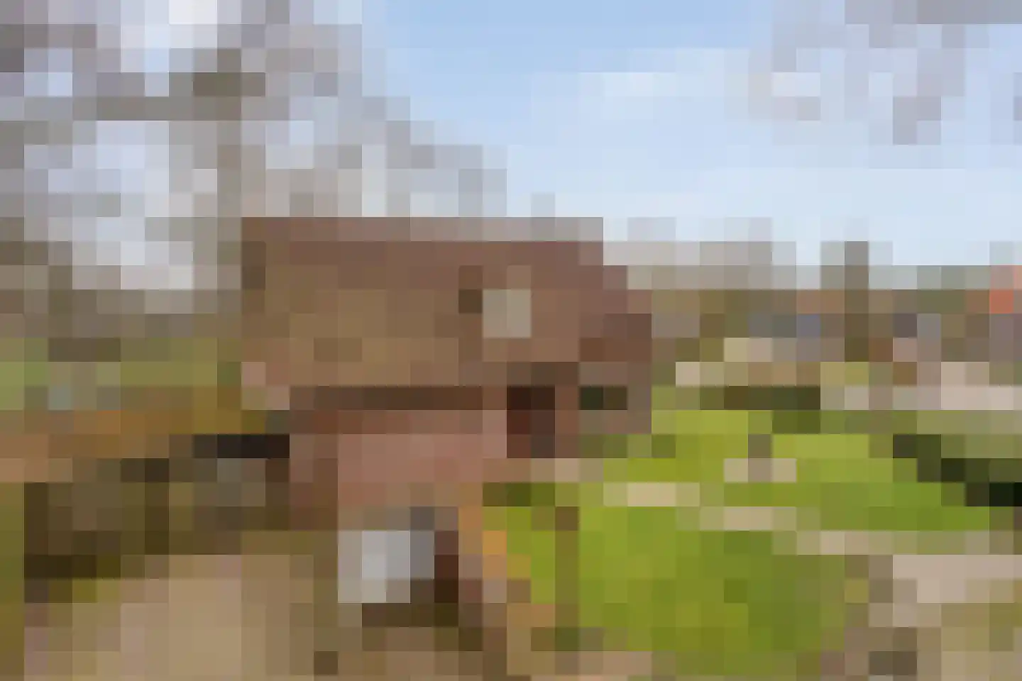 Op den Bosch 3 a Maashees thumbnail 9