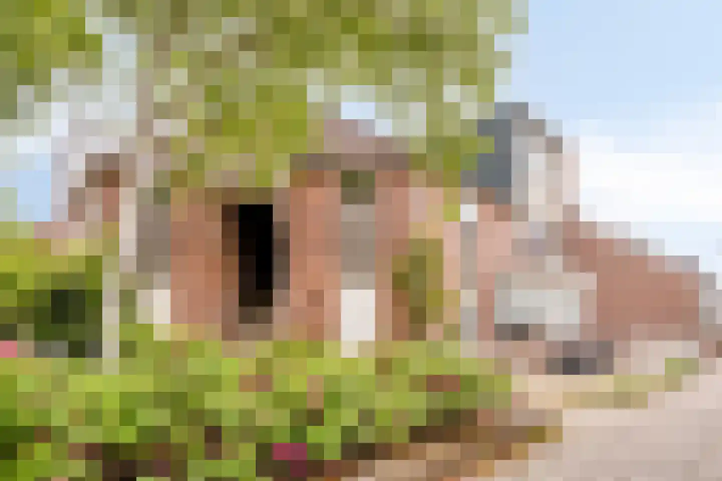 Op den Claver 29 Rijnsburg