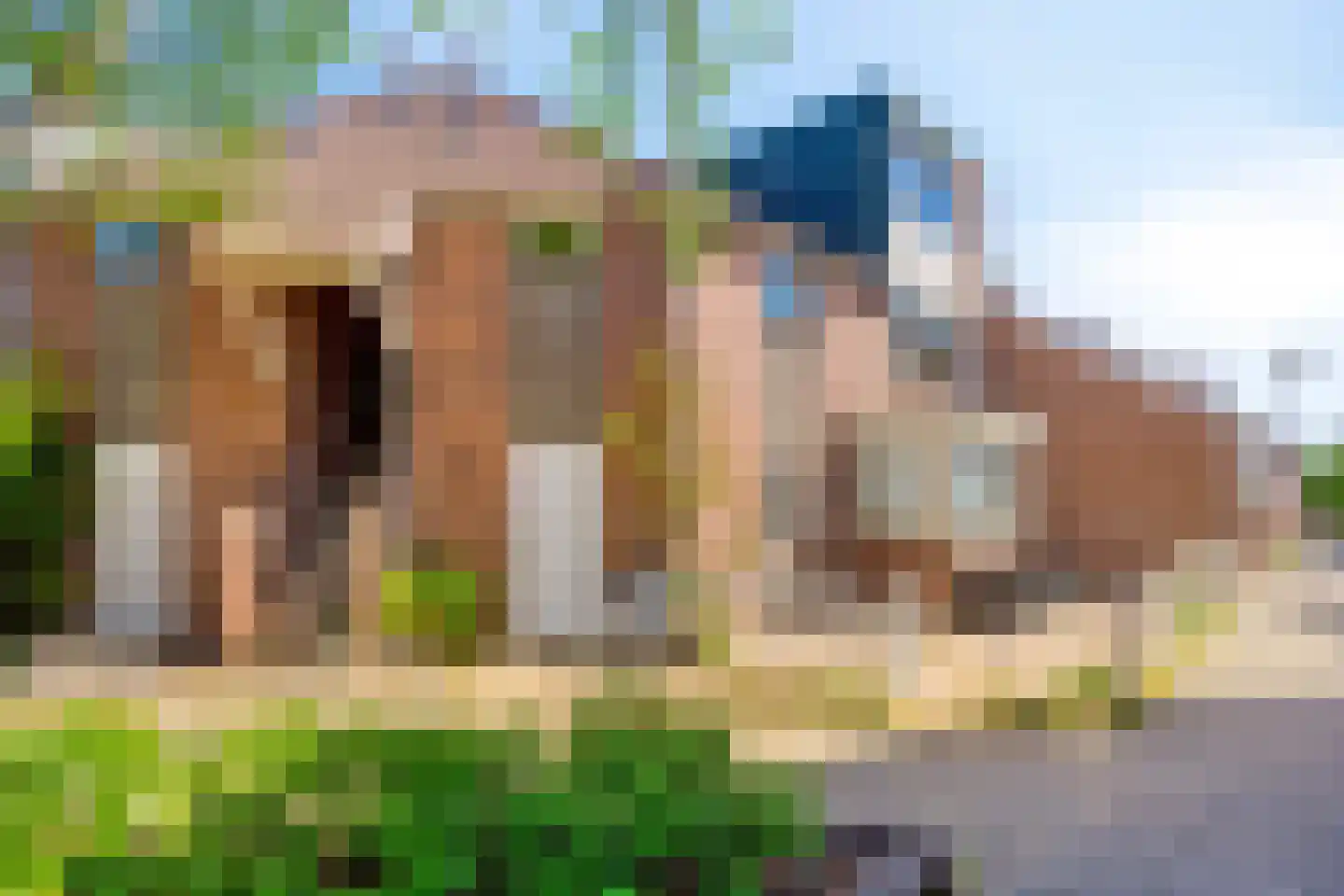 Op den Claver 29 Rijnsburg thumbnail 21