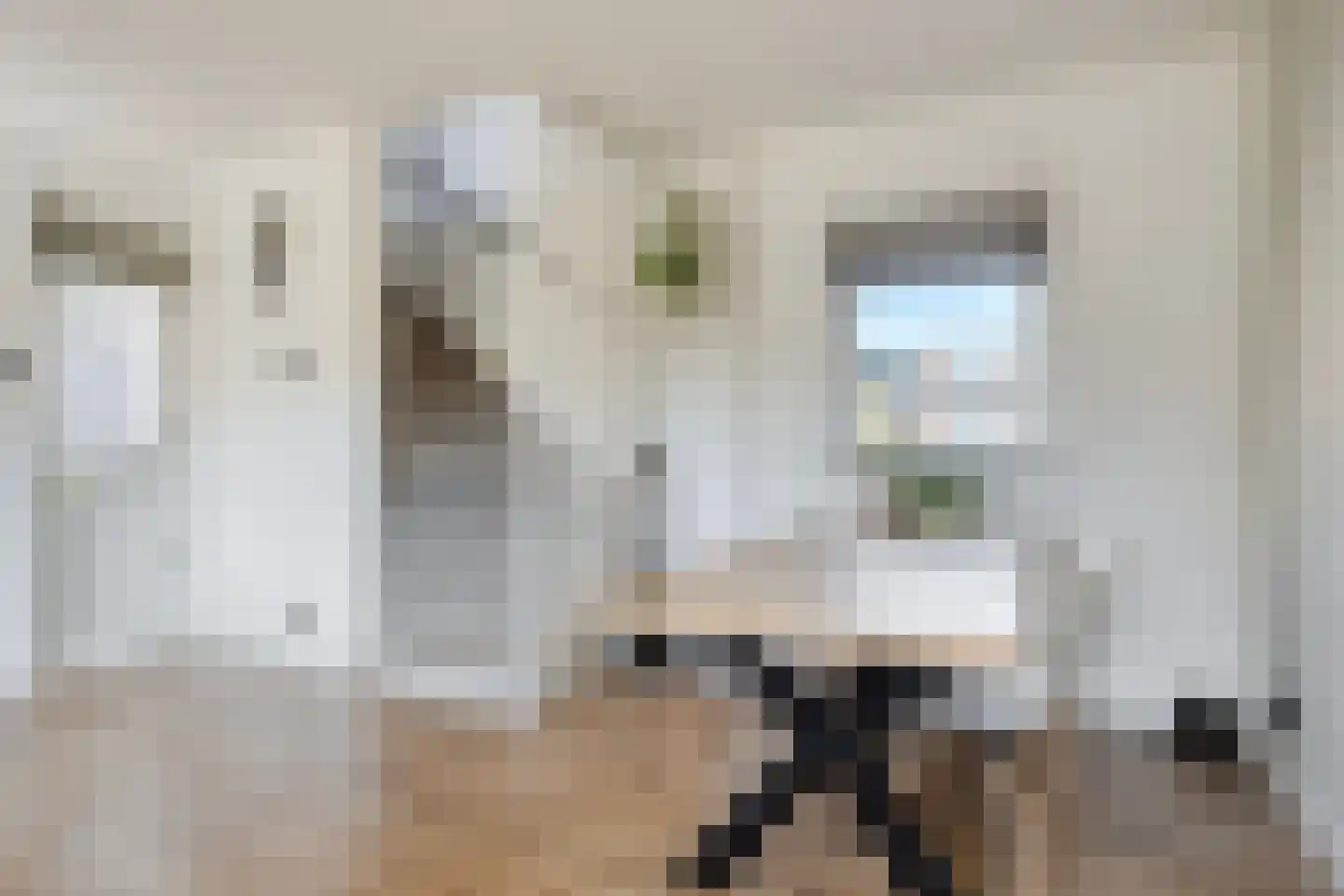 Op den Claver 29 Rijnsburg thumbnail 5