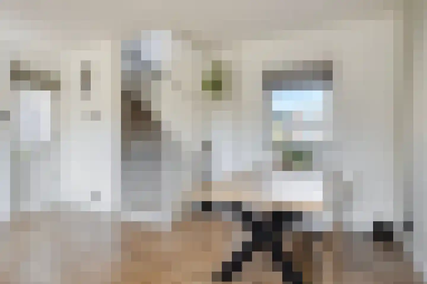 Op den Claver 29 Rijnsburg thumbnail 5