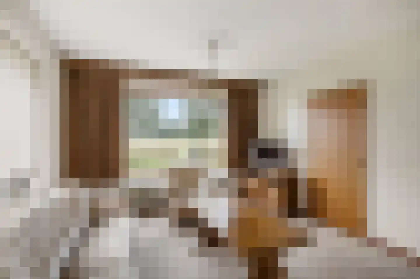 Op den Dijk 46 Echt thumbnail 15