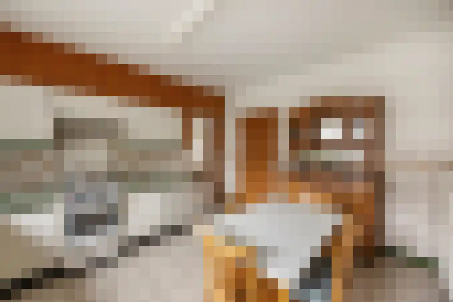 Op den Dijk 46 Echt thumbnail 23
