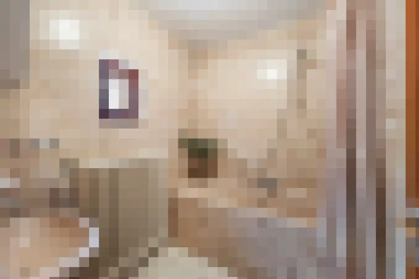Op den Dijk 46 Echt thumbnail 31