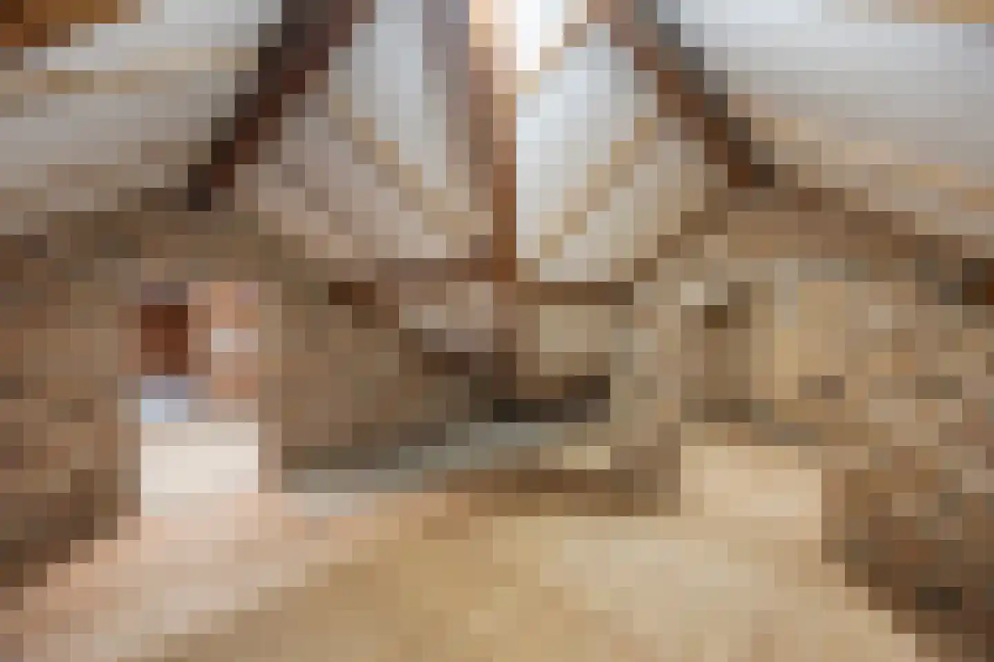 Op den Dijk 46 Echt thumbnail 33