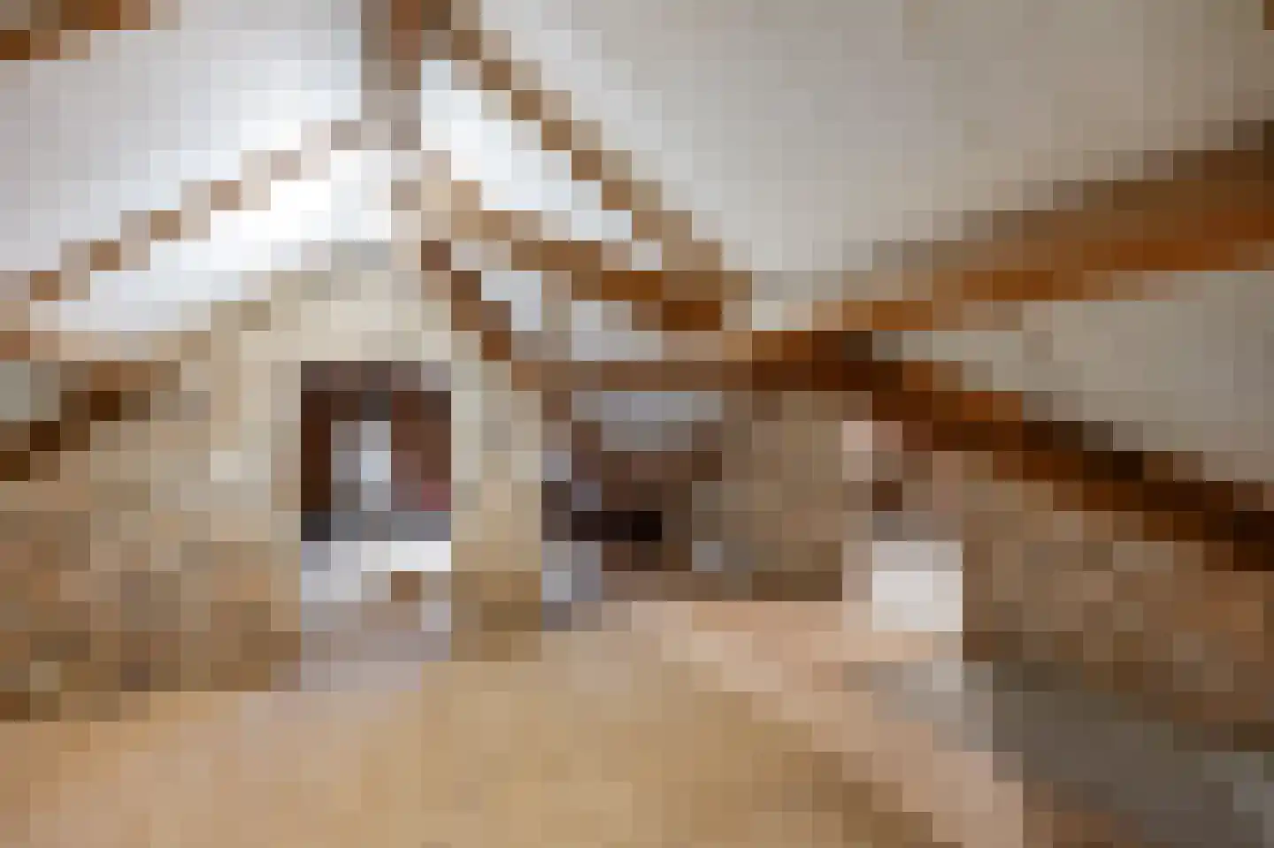 Op den Dijk 46 Echt thumbnail 34
