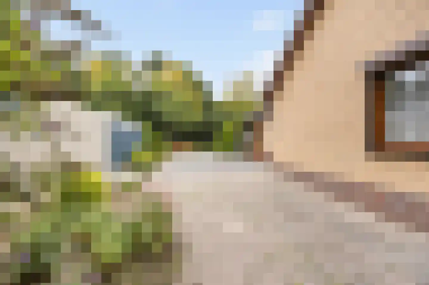 Op den Dijk 46 Echt thumbnail 41