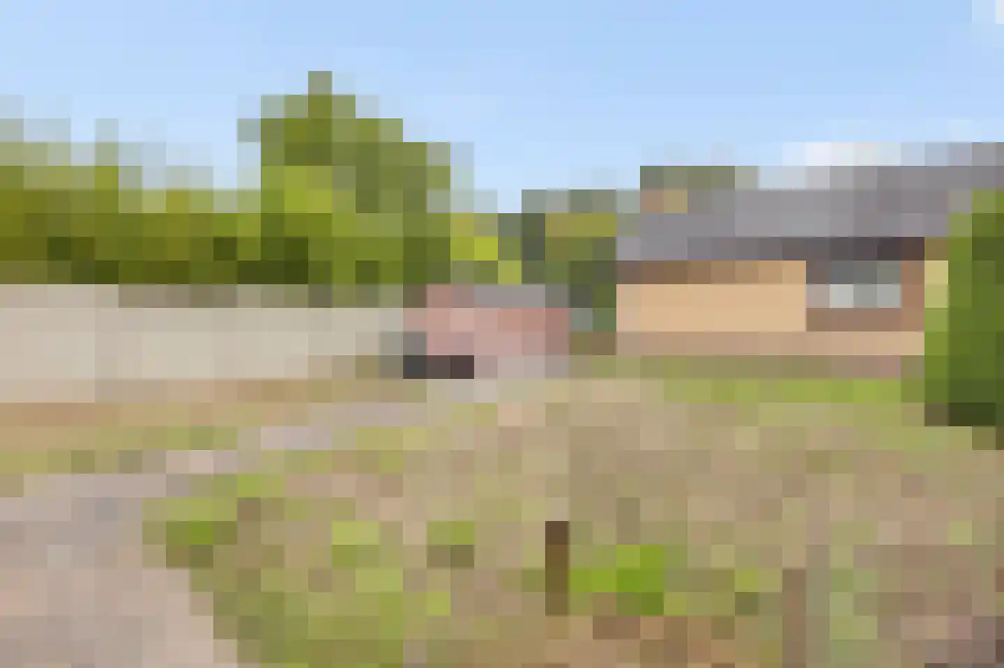 Op den Dijk 46 Echt thumbnail 43