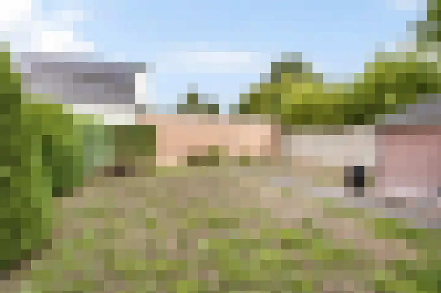 Op den Dijk 46 Echt thumbnail 44