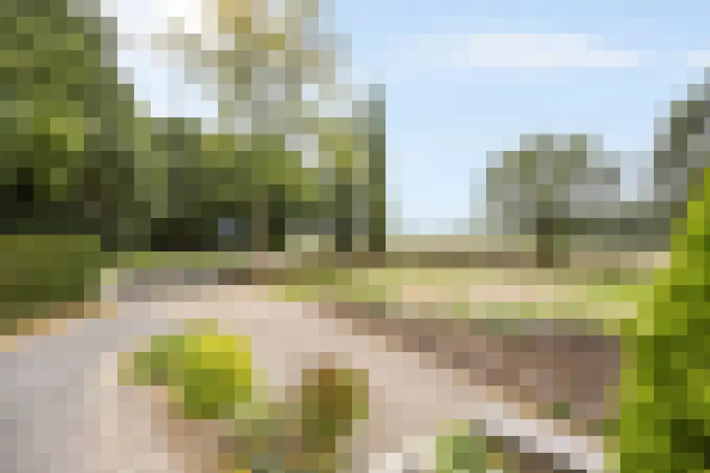 Op den Dijk 46 Echt thumbnail 45