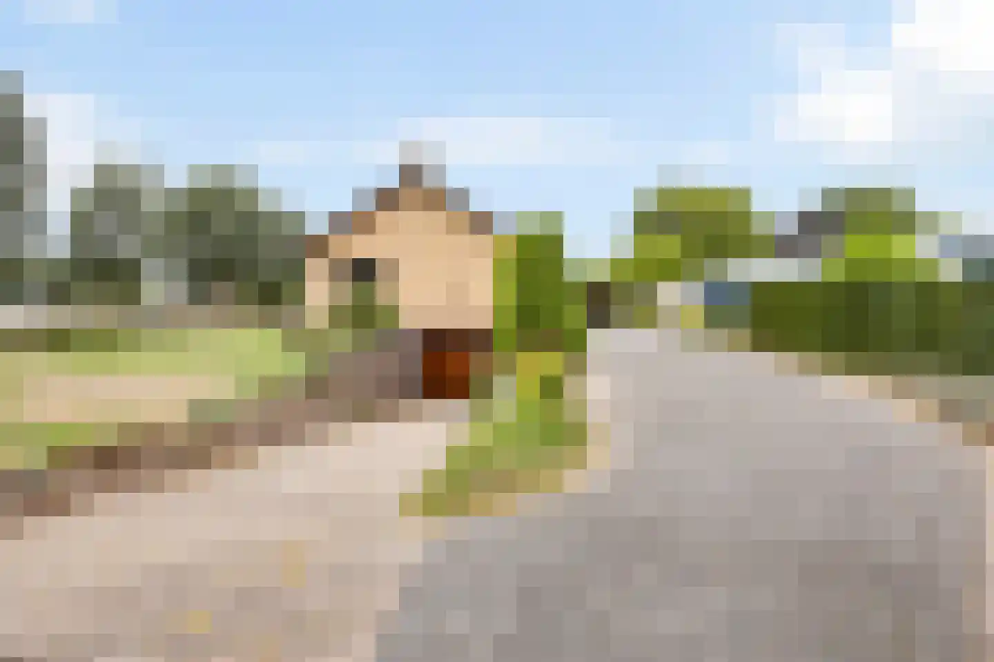 Op den Dijk 46 Echt thumbnail 47