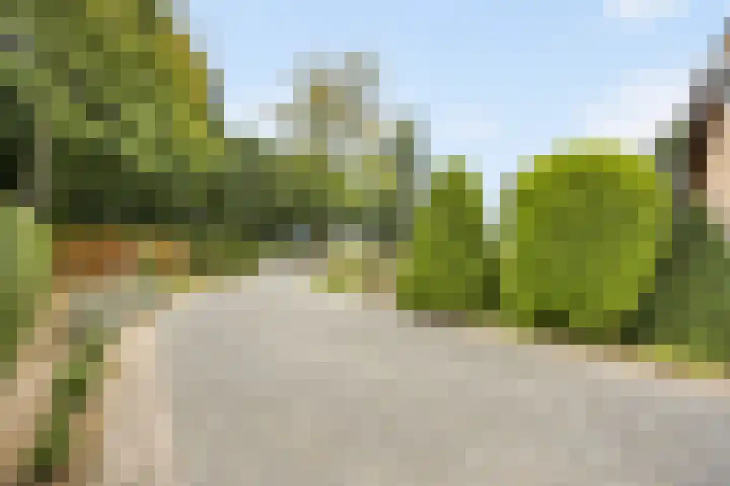 Op den Dijk 46 Echt thumbnail 48