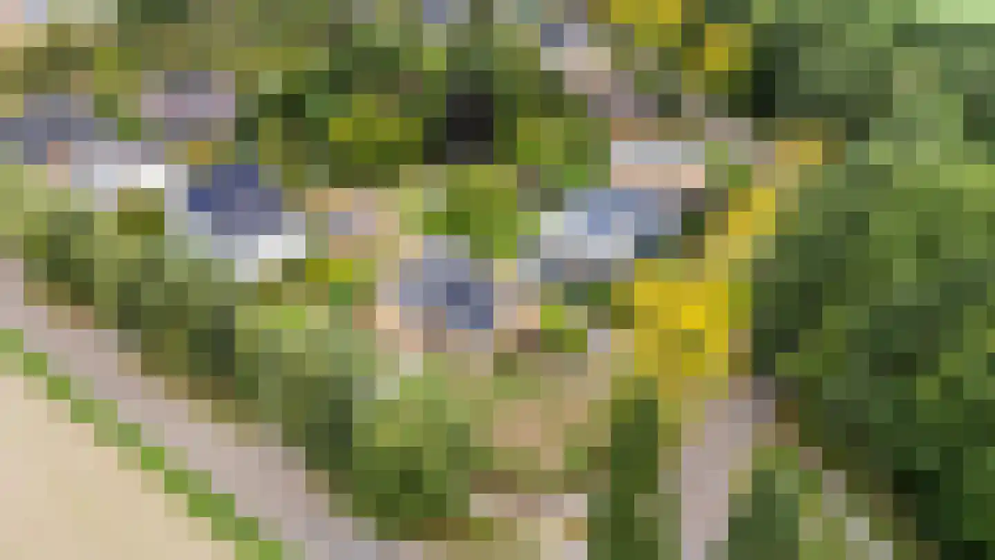 Op den Dijk 46 Echt thumbnail 5