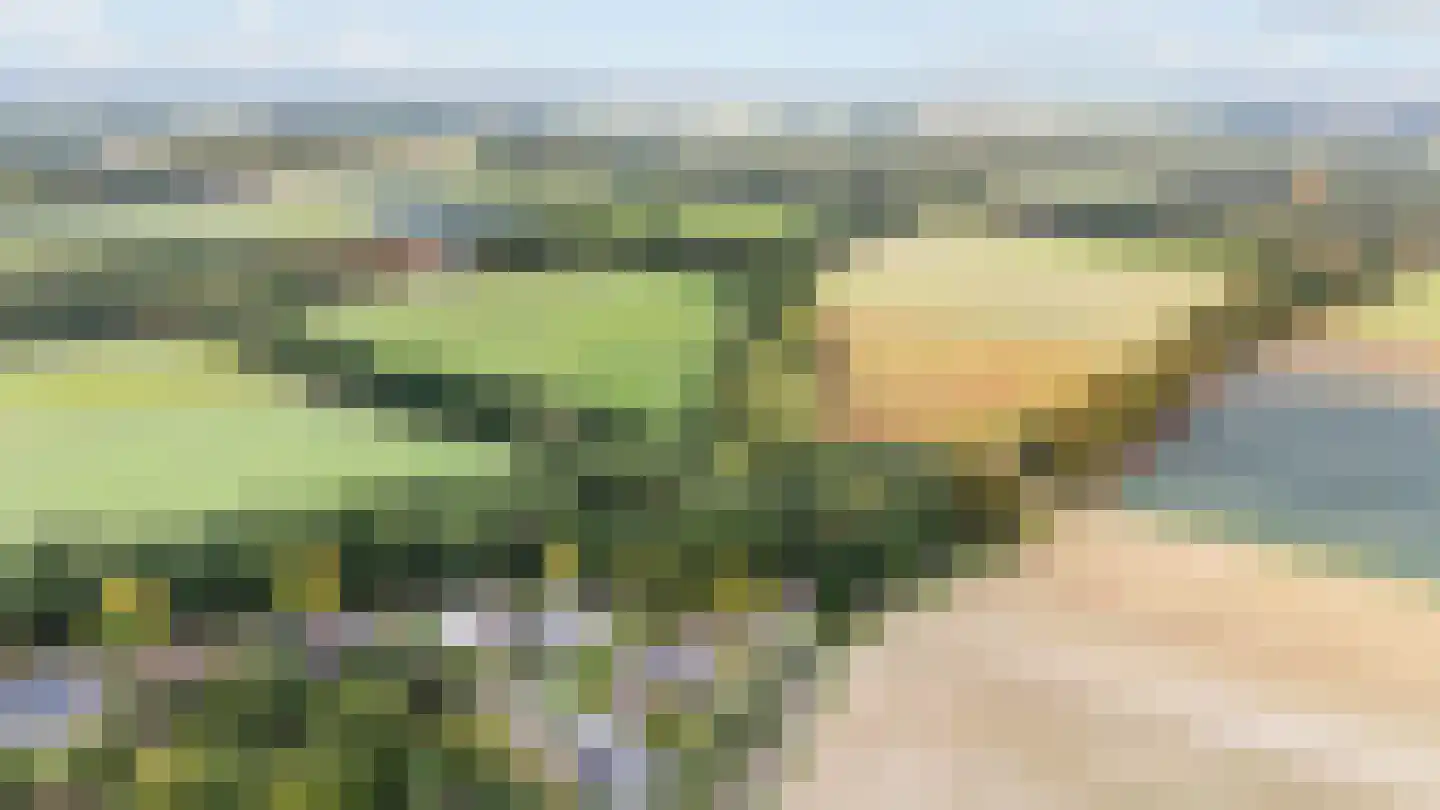 Op den Dijk 46 Echt thumbnail 53