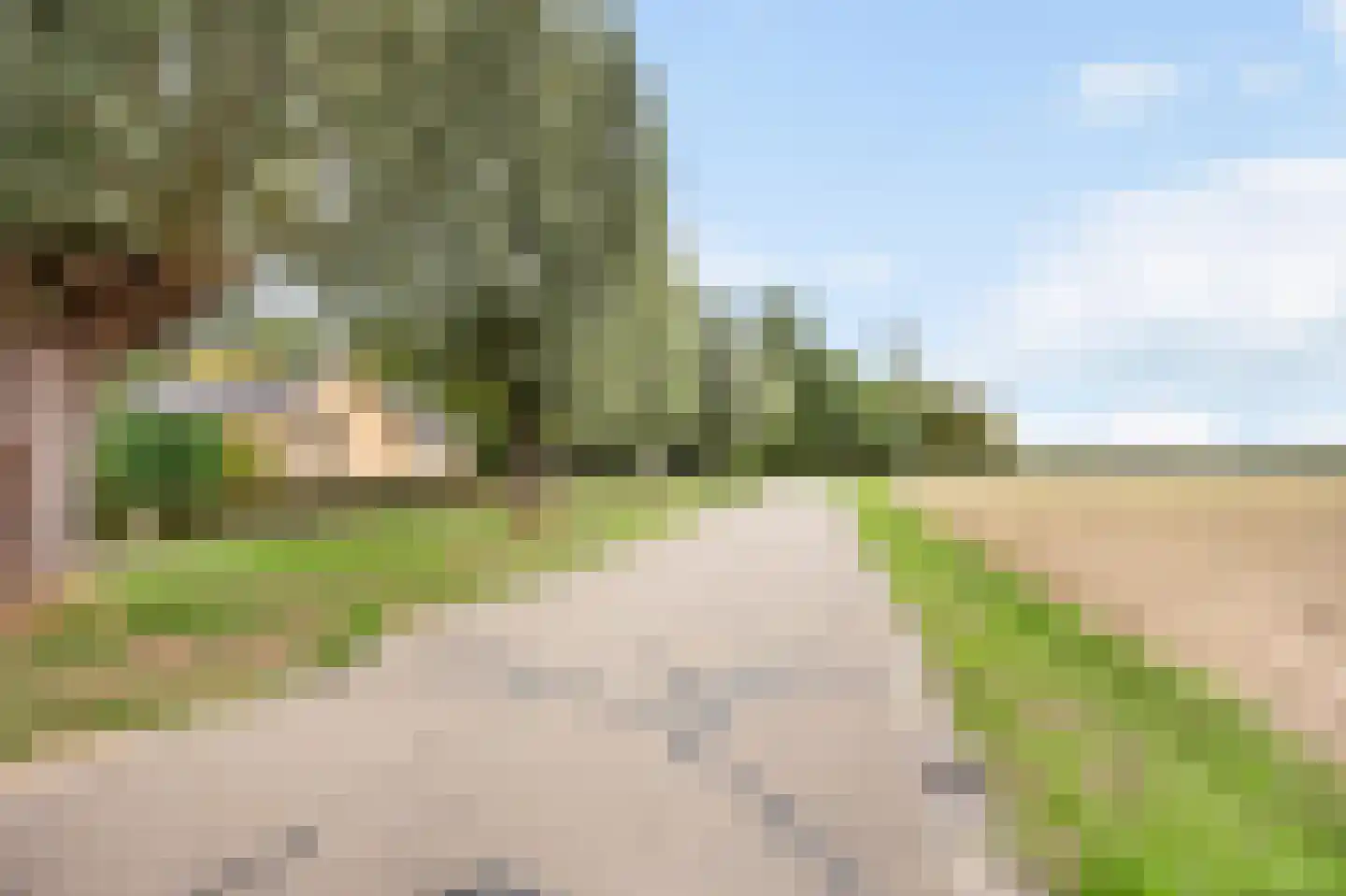 Op den Dijk 46 Echt thumbnail 8