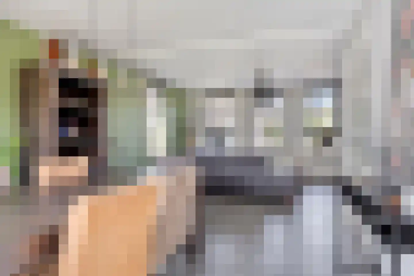 Op den Dries 18 Blitterswijck thumbnail 11