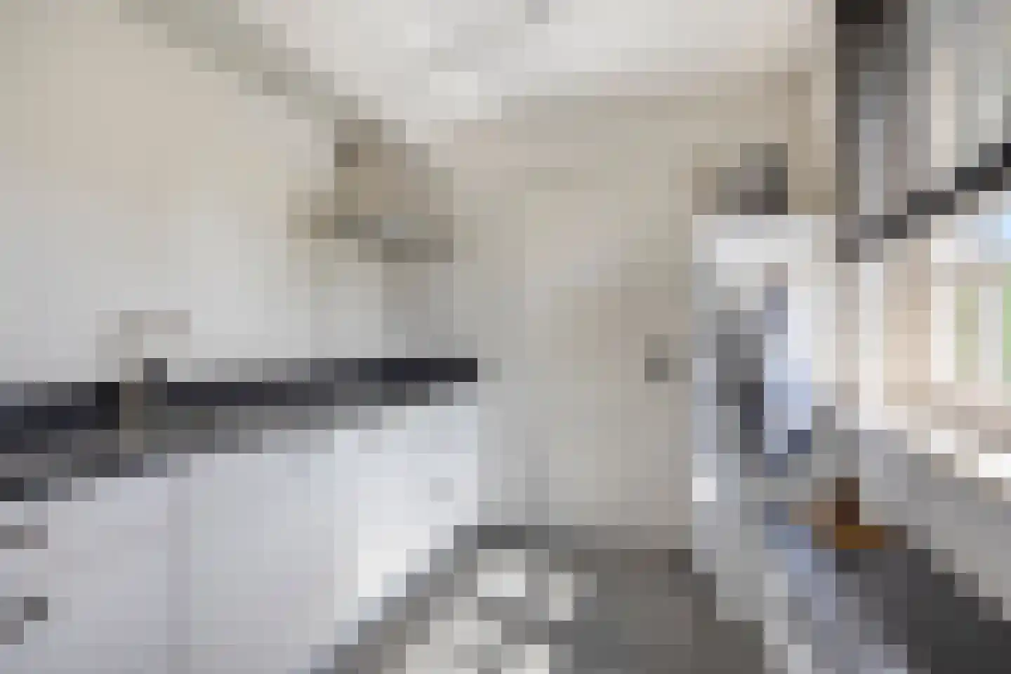 Op den Dries 18 Blitterswijck thumbnail 12