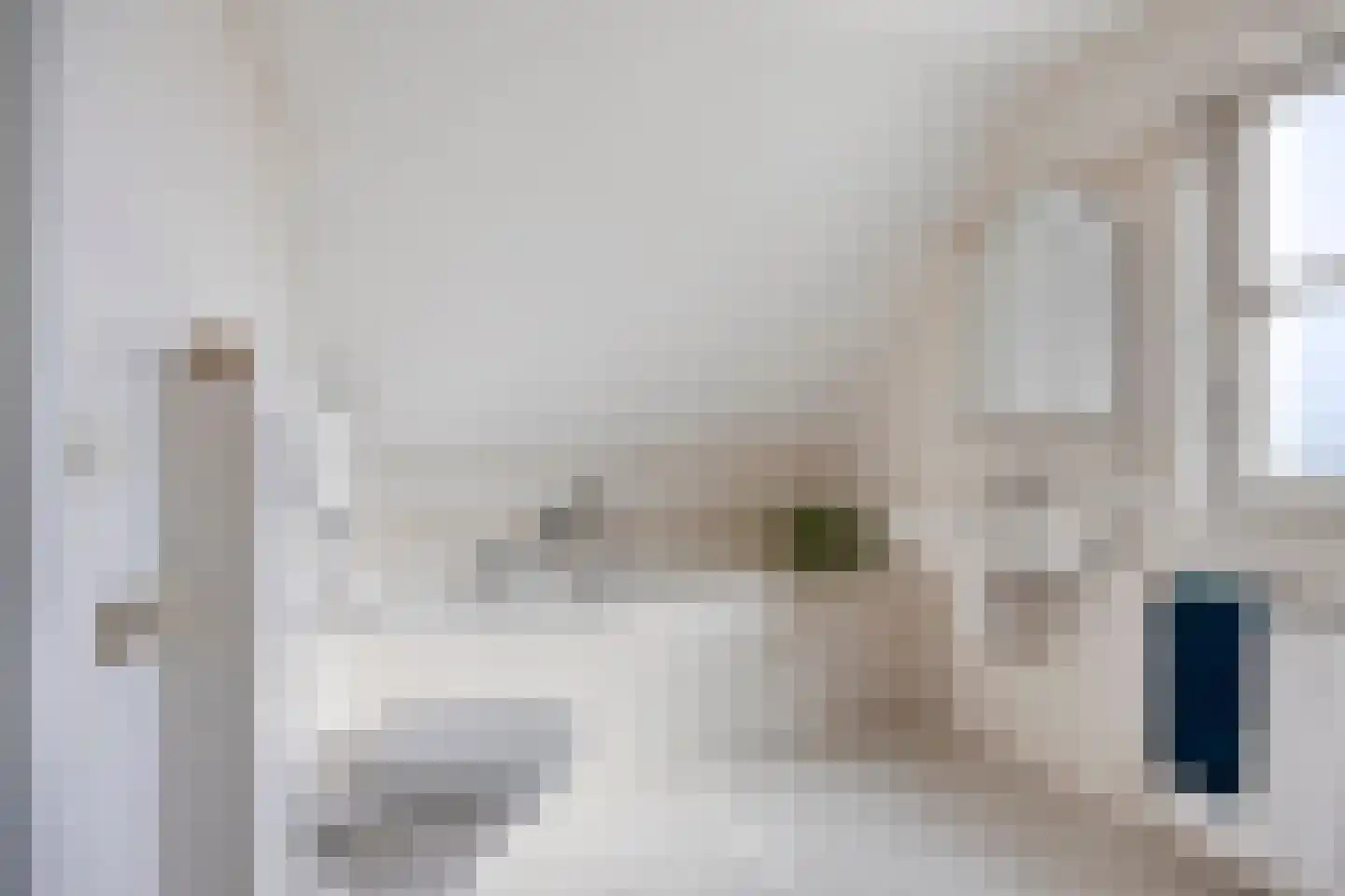 Op den Dries 18 Blitterswijck thumbnail 23