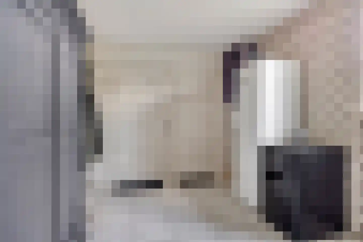 Op den Dries 18 Blitterswijck thumbnail 25