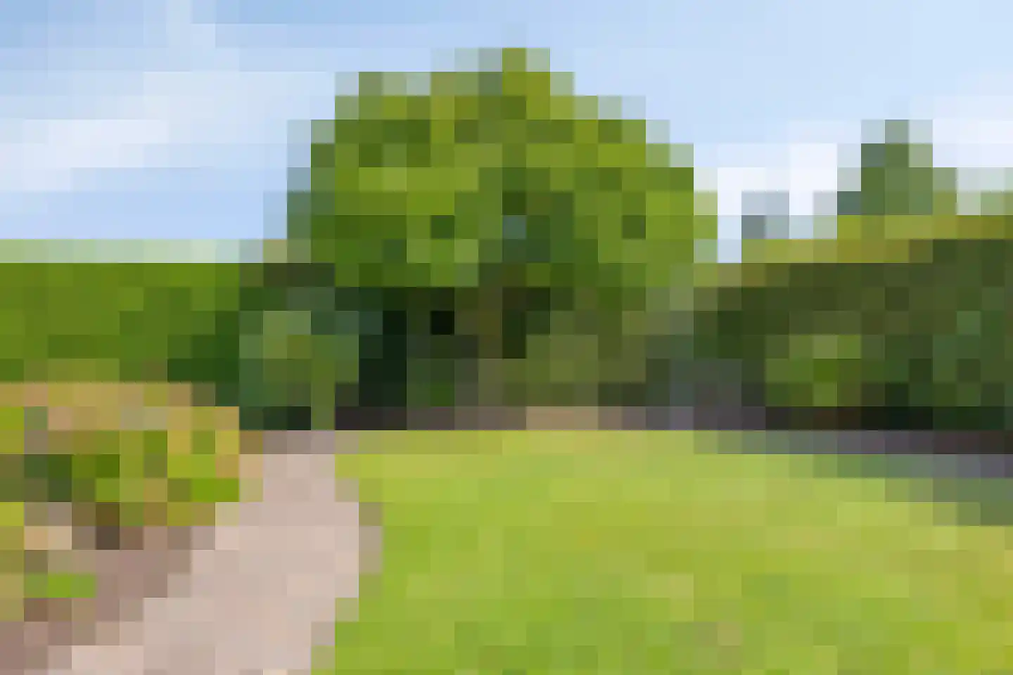 Op den Dries 18 Blitterswijck thumbnail 32