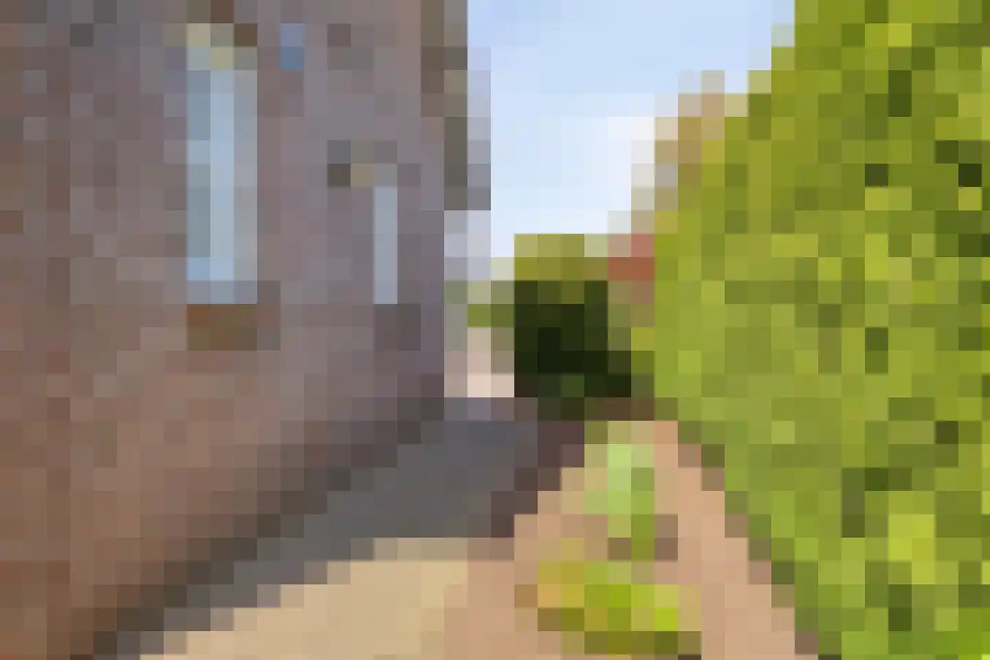 Op den Dries 18 Blitterswijck thumbnail 35