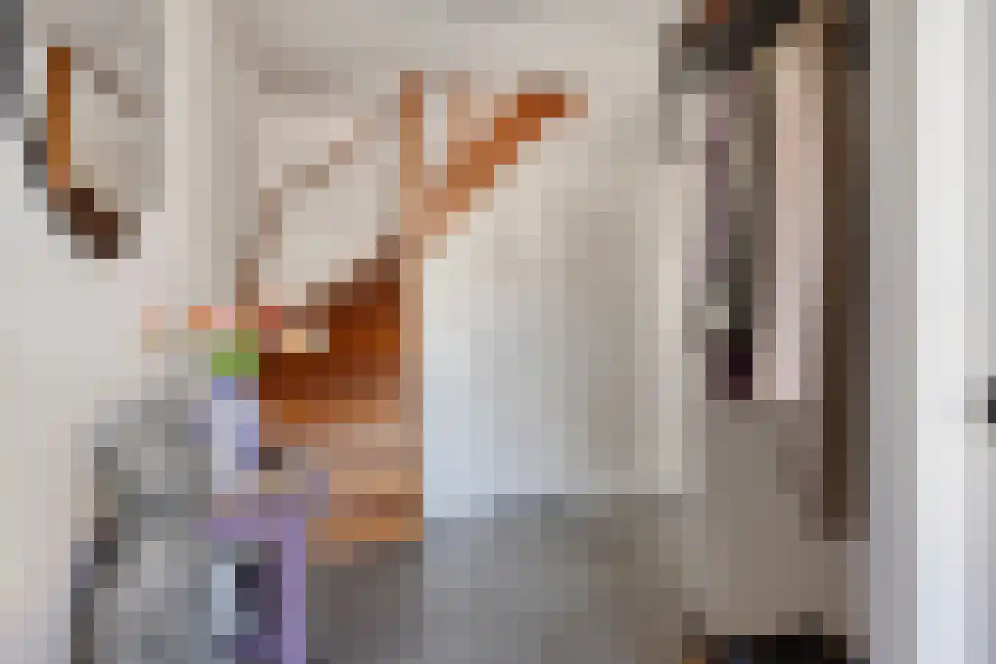 Op den Dries 18 Blitterswijck thumbnail 5