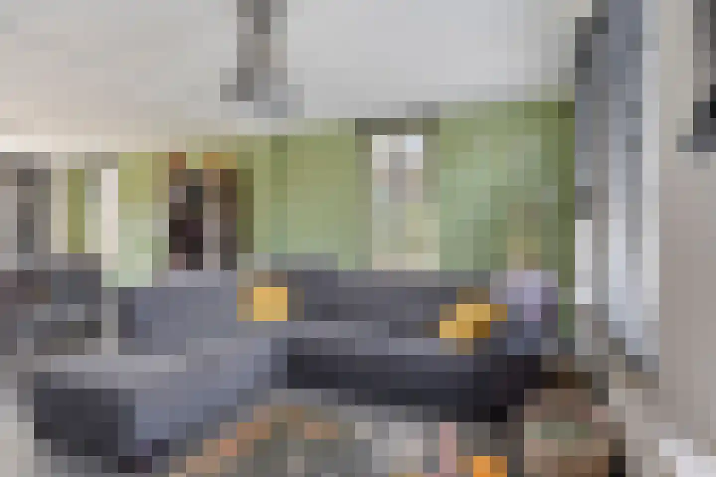 Op den Dries 18 Blitterswijck thumbnail 8