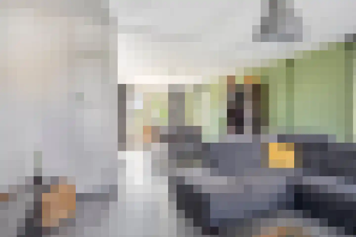 Op den Dries 18 Blitterswijck thumbnail 9