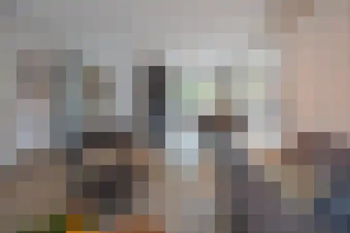 Op den Dries 22 Blitterswijck thumbnail 14