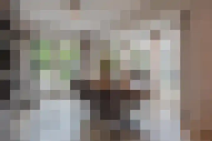 Op den Dries 22 Blitterswijck thumbnail 15