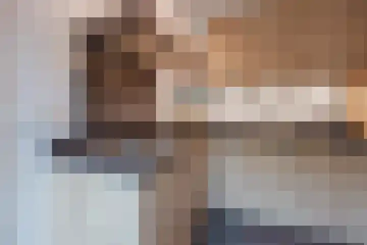 Op den Dries 22 Blitterswijck thumbnail 18