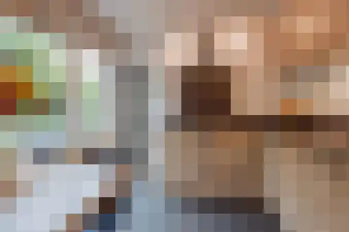 Op den Dries 22 Blitterswijck thumbnail 19