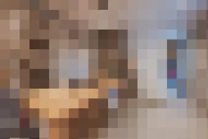 Op den Dries 22 Blitterswijck thumbnail 23