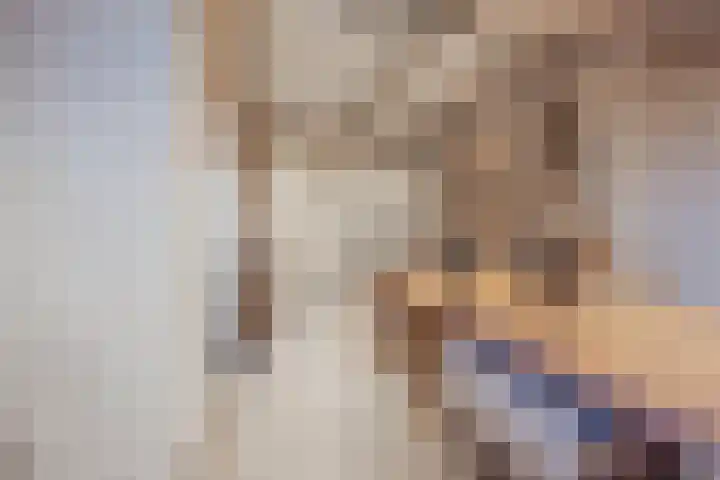 Op den Dries 22 Blitterswijck thumbnail 24