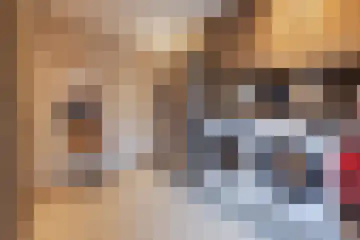 Op den Dries 22 Blitterswijck thumbnail 26