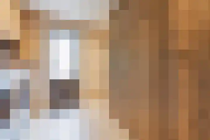 Op den Dries 22 Blitterswijck thumbnail 27