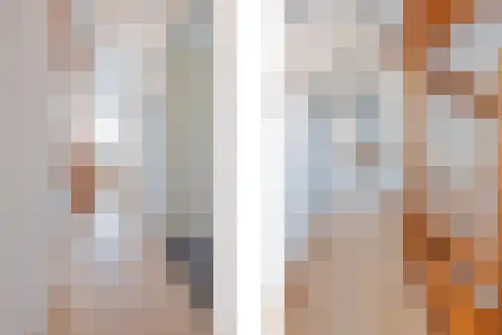 Op den Dries 22 Blitterswijck thumbnail 28